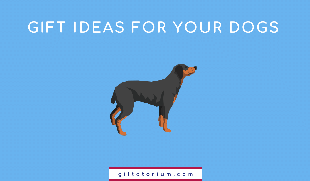 Gift Ideas for Your Dog