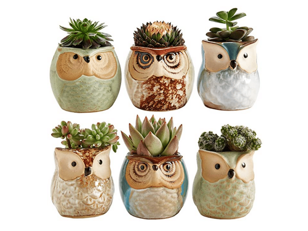 Ceramic Owl Pots